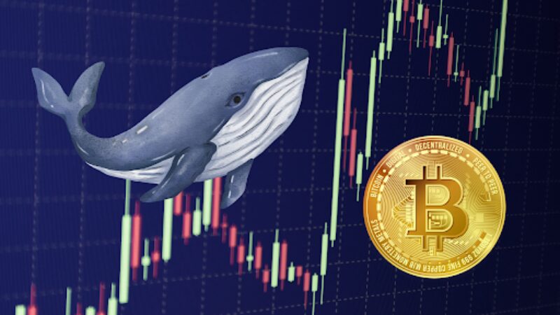 クジラ主導のビットコイン急騰が44Kドルの壁を突破、さらなる上昇か？