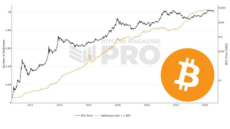 1BTCを保有するビットコインアドレスの数を示すグラフ
