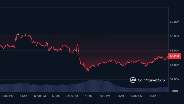 ビットコインの価値は52.850ドルまで下落した。
