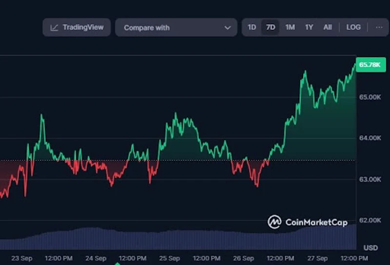 ビットコイン価格が資金流入に与える影響
