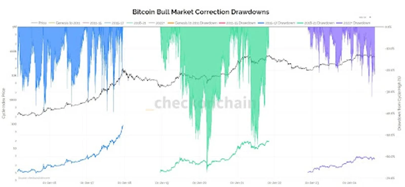 複数のサイクルにわたるビットコイン強気市場の調整パターン
